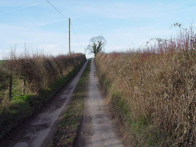 Lane to Glebe Farm