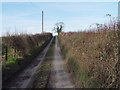 Lane to Glebe Farm