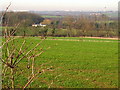 Rolling pasture off Dry Pot Lane near Long Whatton