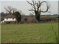 Footpath to Manor Farm