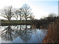 Reflections in mere at Bradley Common