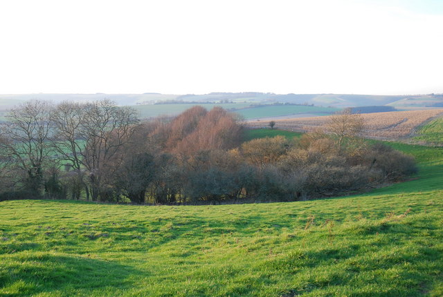 Woods and downs above Ebbesbourne Wake