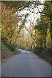 ST9923 : The road up from Ebbesbourne Wake by Toby