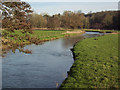 River Nadder looking downstream from Horse Shoe Bridge