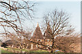 Oast houses - Higham