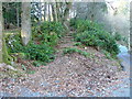 Footpath and Steps to Corbenic Camphill Community