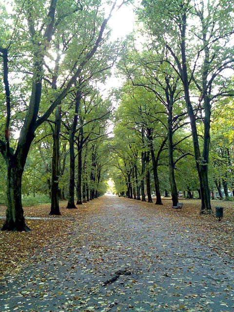 Alexandra Park in October