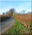 Lane between The Hough and Higher Wych