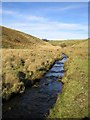 SS7240 : River Barle by Rupert Fleetingly