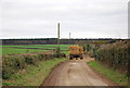 Bales on trailer at Field Dairy