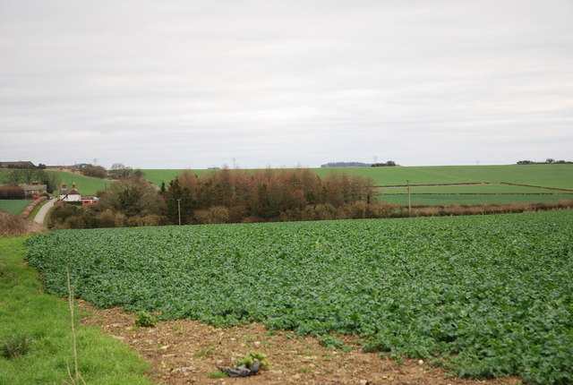 Farmland between Field and Middle Dairies