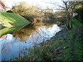 Waterside Dyke by Hythe Marina