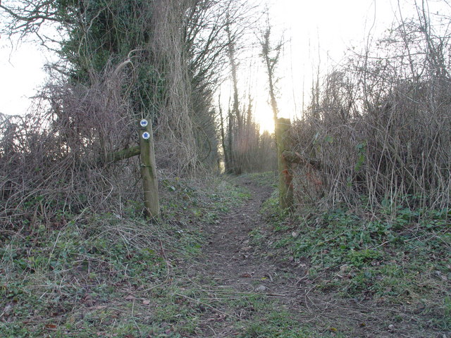 Footpath to Great Coll Wood