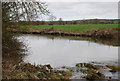 River Stour - upstream