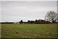 Farmland above River Stour