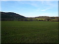 View across fields to Overton