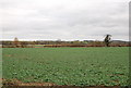 View over farmland towards River Stour