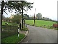 Road running through Wheelbarrow Town