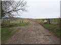 Footpath to Privett Farm