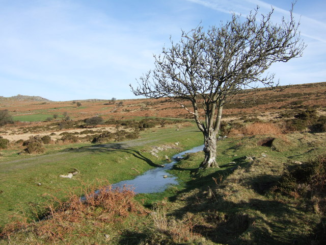 Line of Princetown railway near... © Derek Harper :: Geograph Britain ...