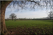 SO8343 : Fields of Northend Farm by Bob Embleton
