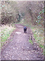 Footpath to Bemerton