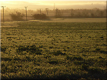 NS8094 : Farmland, Cambuskenneth by Andrew Smith