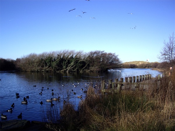 Nature reserve, Ainsdale