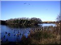 Nature reserve, Ainsdale