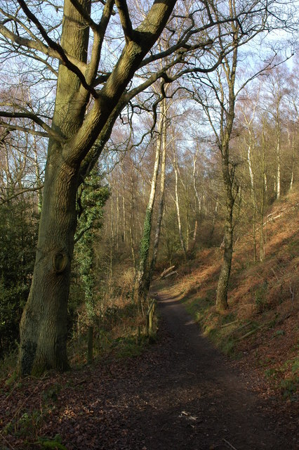 Footpath through the wood on the western slopes of Kinver Edge