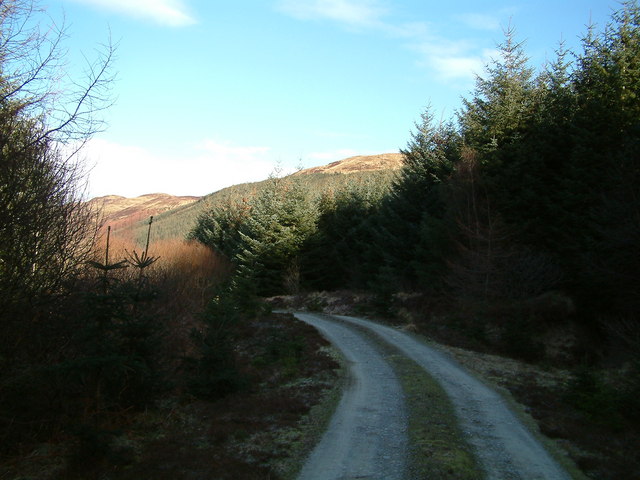 Forestry track below Bealach na h-Imrich