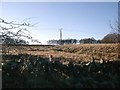 Northern slopes of Glaisnock Moss