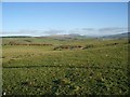 Looking east from White Knowe