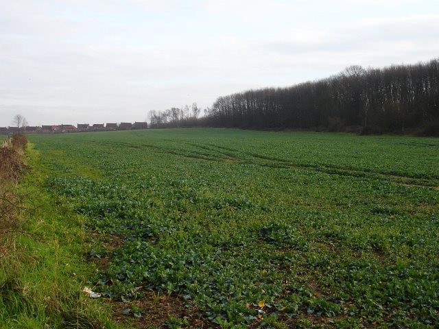 Farmland beside the reservoir