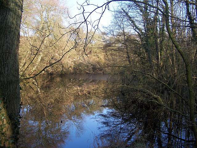Dimminsdale Nature Reserve
