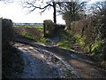 Lane and Footpath Junction in Kelsall