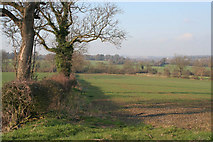 SK4903 : Farmland near Desford by Kate Jewell