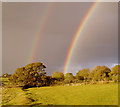 Fields and rainbows near Prewley.