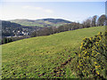 Field at Crotchetknowe