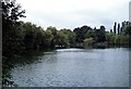 Fishing Lake, Rochford