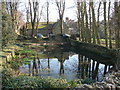 Pond by Garsington Manor