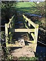 Footbridge over Golborne Brook