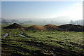 Muck bury near Alleymoor