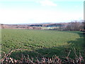 Wealden vista