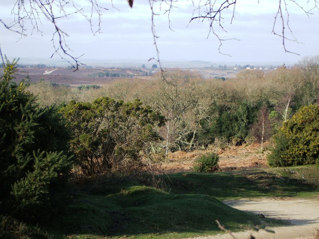 View towards Ogdens Purlieu from High Corner Inn Road