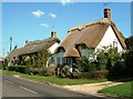 Thatched Cottages in Martin