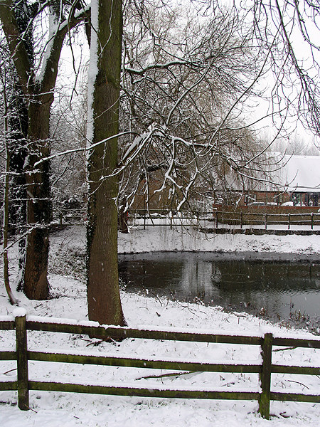 The Village Pond: Woolhampton