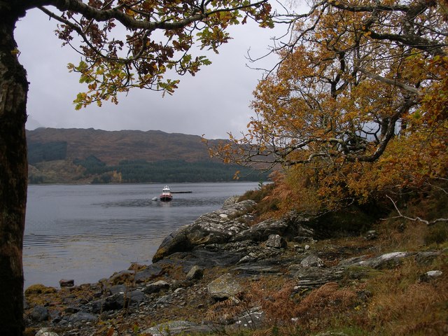 Autumn colours on the shore of Loch Sunart, Port na h-Uamha