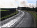 Windy Bank Road : Hamsterley Forest