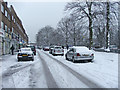 Service Road for Bramley Parade, N14,  with avenue of Lime trees on the right